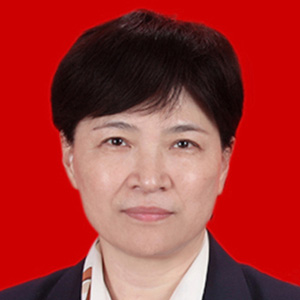 Prof Hongmei	Zhang