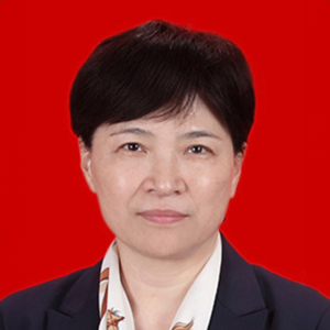 Prof Hongmei Zhang