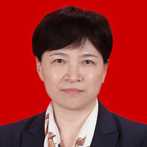 Prof Hongmei Zhang 