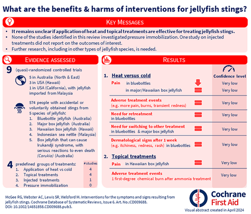A blogshot summarising 'What are the benefits & harms of intervention for jellyfish stings?'