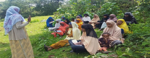Women's Development Army member talks to rural women about institutional infant delivery in Ethiopia