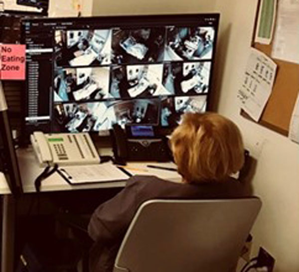 A healthcare worker monitoring patients via video