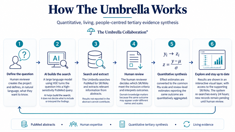 A diagram showing how the Umbrella Collaboration works