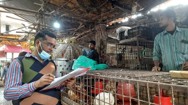 health inspector at a market that includes live chickens