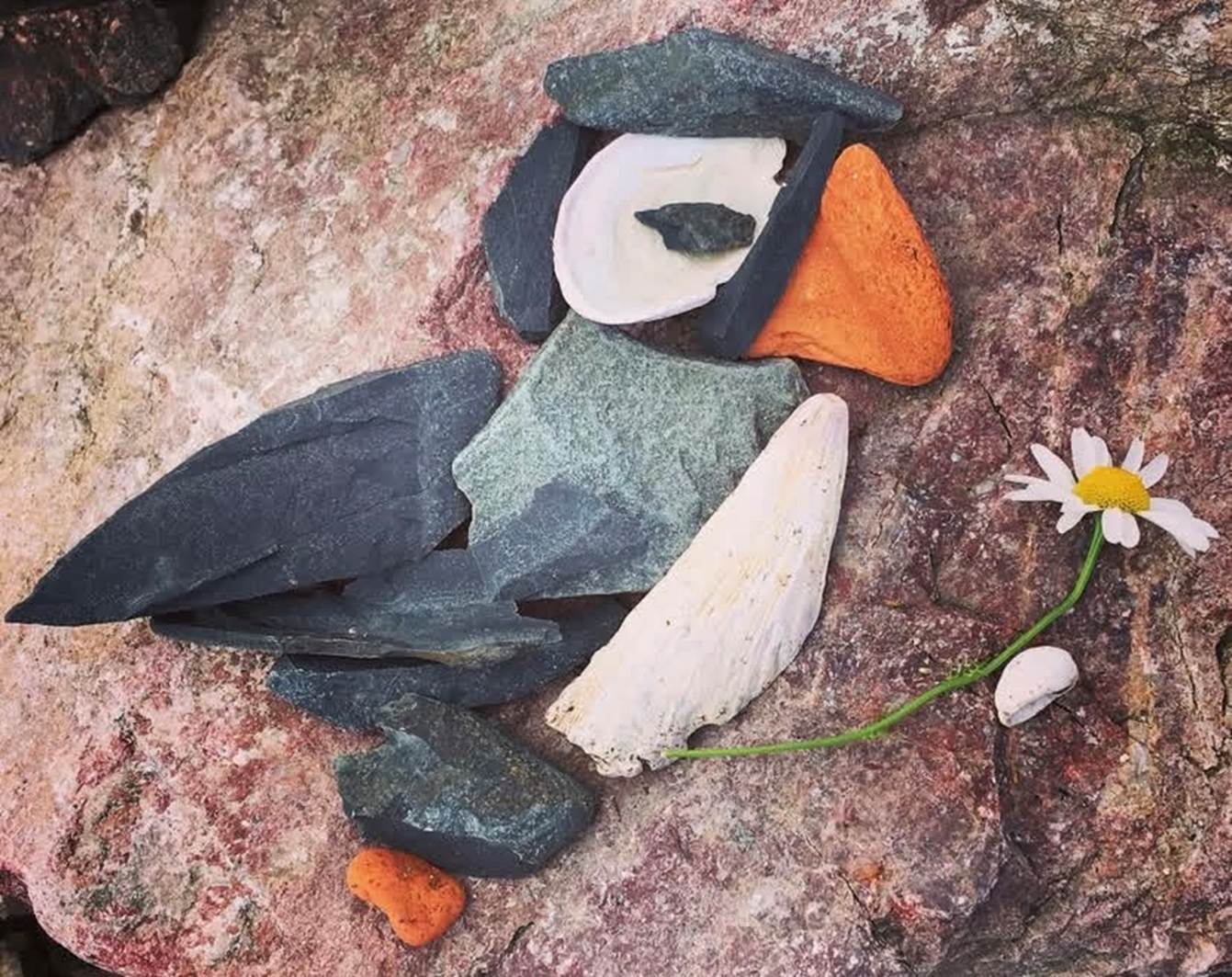 A flower next to rocks

AI-generated content may be incorrect.