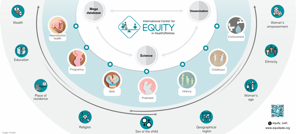 Diagram of tools and actions for health equity monitoring